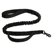 Pet Leash & Collars